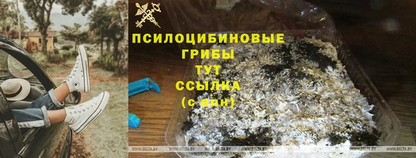 герыч Алексин