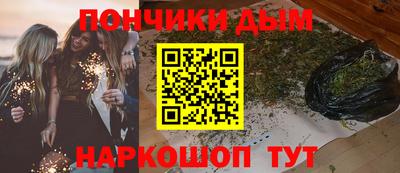 дмт Бийск