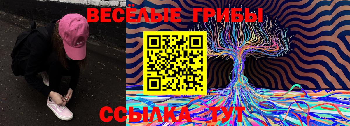 Псилоцибиновые грибы ЛСД  закладки  Вход с VPN  Большой Камень  Псилоцибиновые грибы GOLDEN TEACHER 